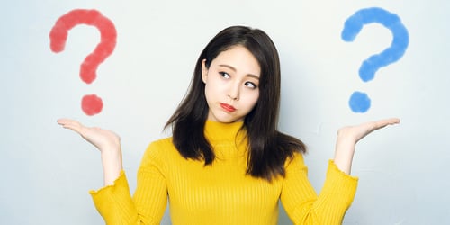 HubSpot vs WordPress For Small Business