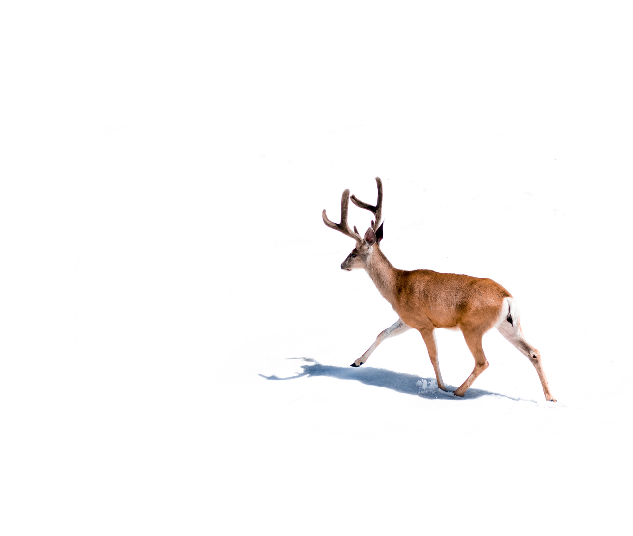 HubSpot design strategy and planning