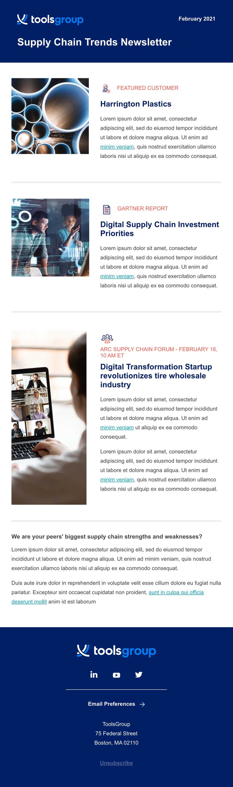 toolsgroup-newsletter_1-screenshot