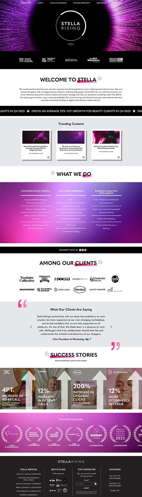 stella-old-homepage-screencap_web
